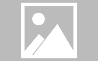 新野网页设计师周记（网页设计周记26篇300字）