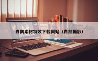 新野白鹅素材特效下载网站（白鹅摄影）